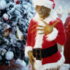 Grinch Red Coat