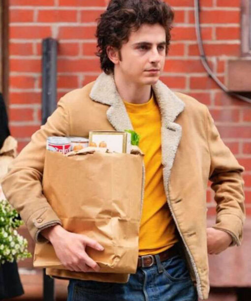 Timothée Chalamet Shearling Jacket