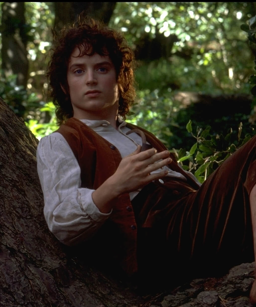 Elijah Wood Brown Vest