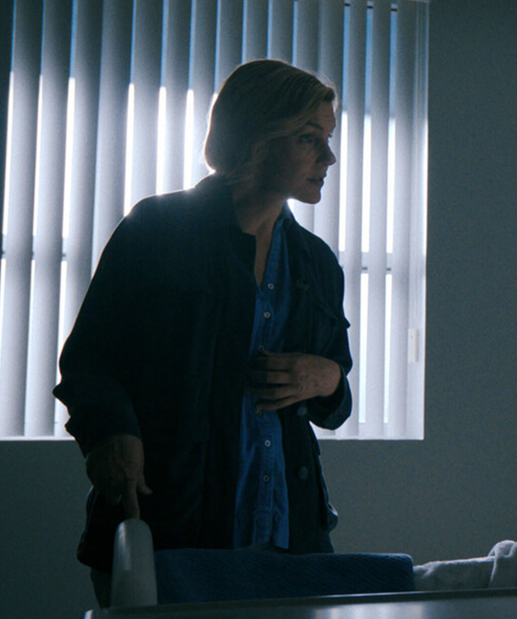 Rhea Seehorn Blue Jacket